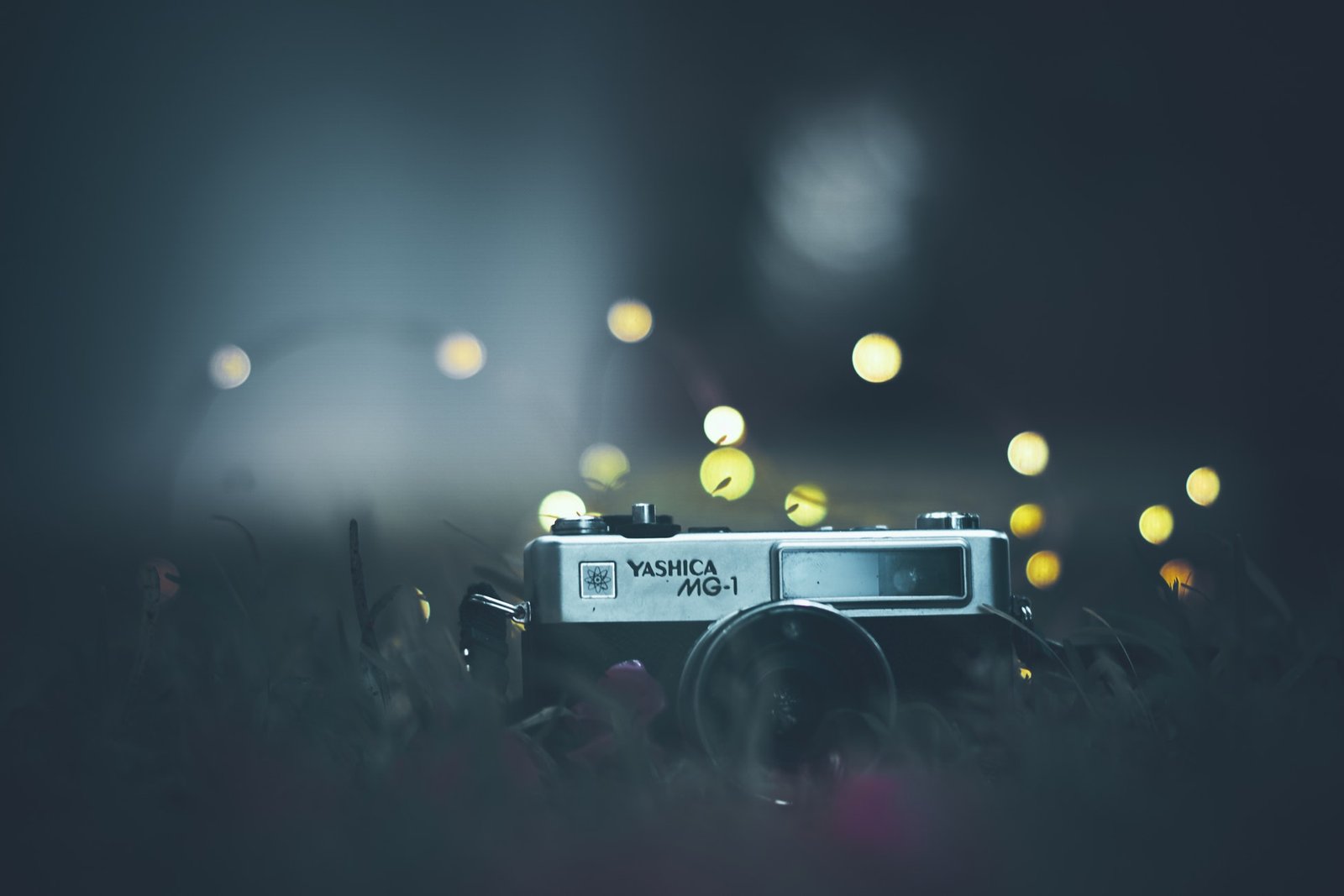 Best Cameras for Night Photography: 10 Kool