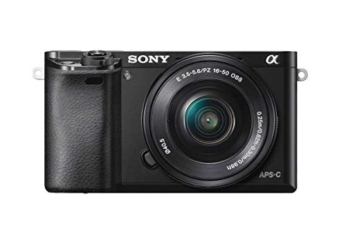 Best Cameras for Concert Photography