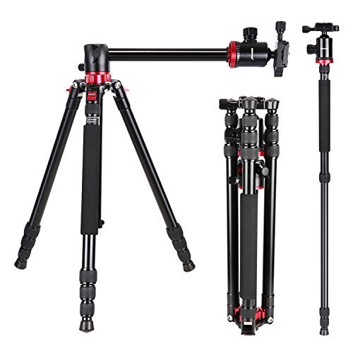 Best Tripods for Food Photography