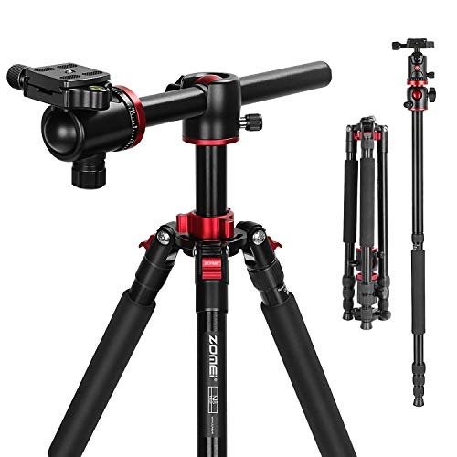 Best Tripods for Food Photography