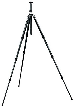 Best Tripods for Food Photography