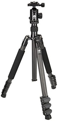 Best Tripods for Food Photography