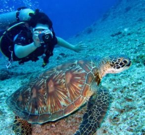 Best Cameras for Underwater Photography