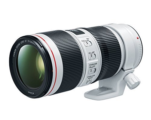 Best Canon Lens for Wedding Photography