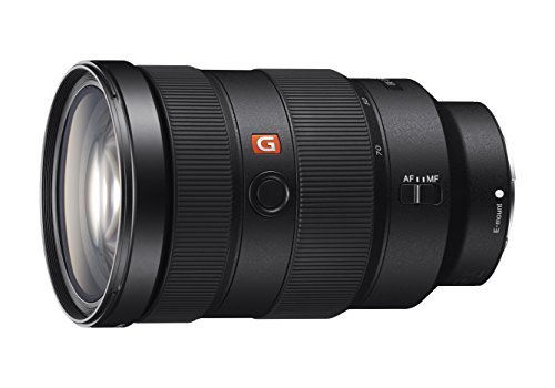 Best Sony Lens for Portrait Photography