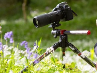 Best Tripods for Macro Photography