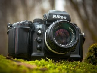 Best Lenses for Nikon D7000