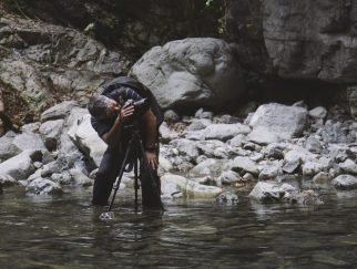 Best Tripods for Wildlife Photography