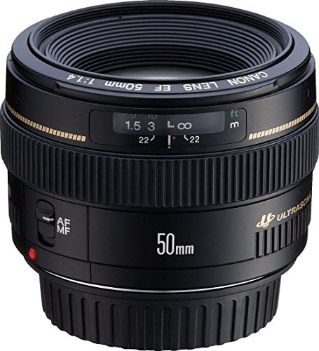 Best Canon Lens for Architectural Photography