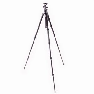 Best Tripods for Wildlife Photography